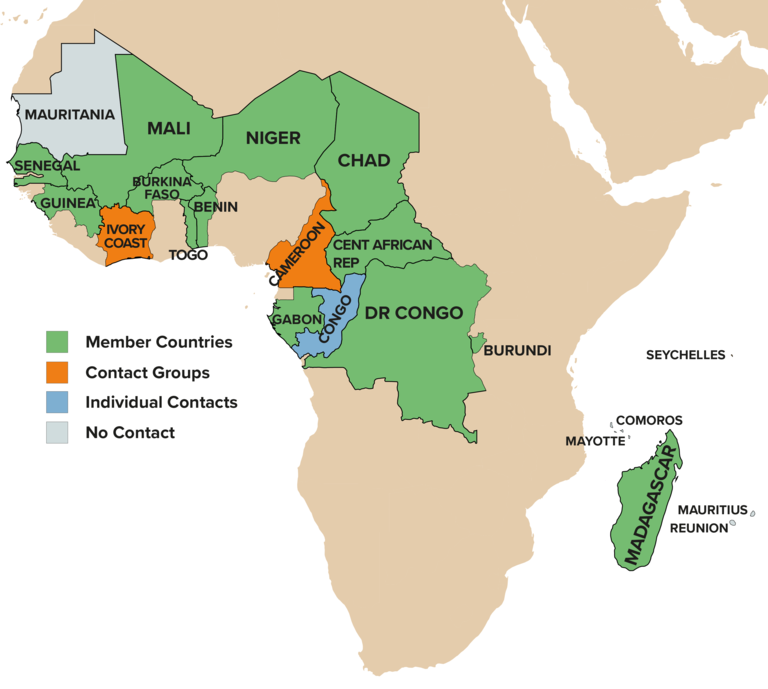 Francophone Africa - ICMDA