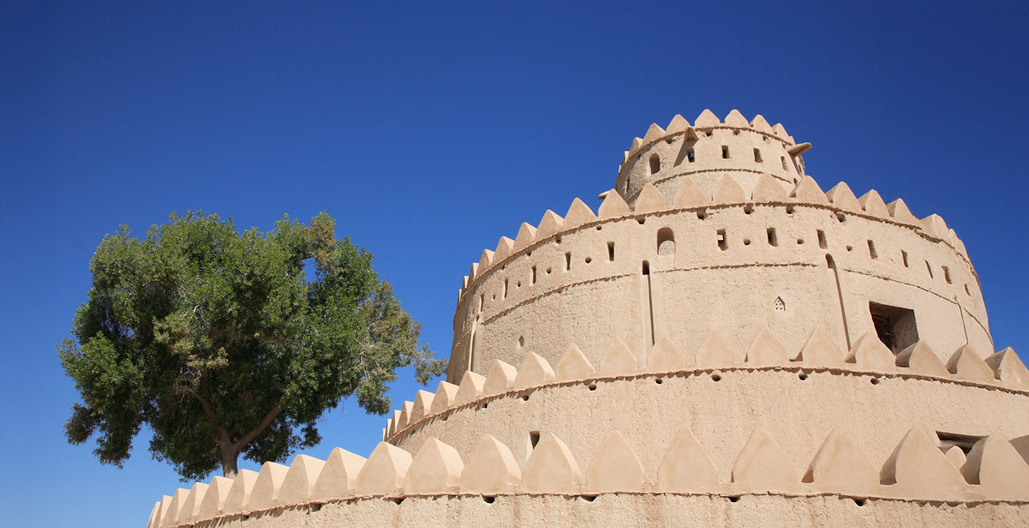 saj-shafique-puOOEUAotjs-unsplash (crop saj-shafique-puOOEUAotjs-unsplash (crop